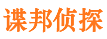 九龙市侦探公司